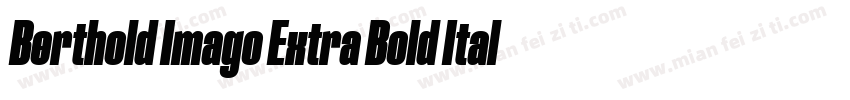 Berthold Imago Extra Bold Italic字体转换